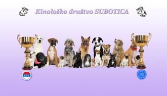 Međunarodna izložba pasa