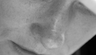 Predavanje Helene Sablić Tomić: Dokolica