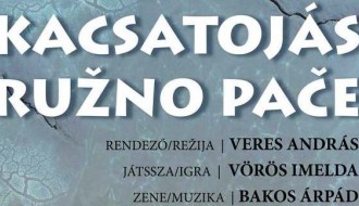 Predstava: Ružno pače