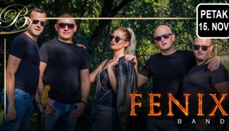 Fenix band