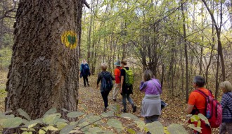 Pešačenje povodom Svetskog dana zdravlja