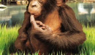 Kids fest 2012 - Beni se vraća kući