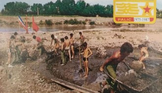 Pola veka ORA „Palić“: jubilej radnih akcija koje su oblikovale Palić