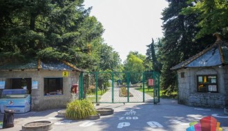 Optužbe o uginućima u Zoo vrtu Palić: Uprava odbacuje navode o nemaru