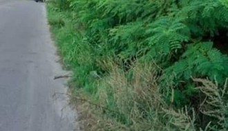 Zapuštena Ulica kajsija (Kelebija)