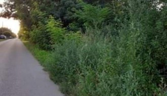 Zapuštena Ulica kajsija (Kelebija)