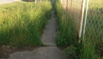 Visoka trava na pešačkoj stazi ispred Tatravagonke