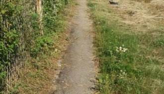 Visoka trava na pešačkoj stazi ispred Tatravagonke