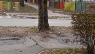 Nebezbedno drvo jablana preko puta vrtića "Sanda Marjanović" na Prozivki