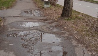 Nebezbedno drvo jablana preko puta vrtića "Sanda Marjanović" na Prozivki