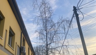 Urasla i nebezbedna stabla (ugao Ivana Antunovića i Marka Oreškovića)