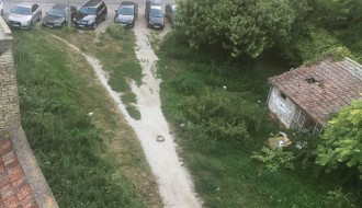 Ambrozija u centru grada (površina između Ulice Vuka Karadžića i "plavog" pasaža)