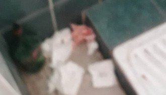 Održavanje Senćanskog groblja (staze, toalet)