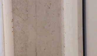 Održavanje Senćanskog groblja (staze, toalet)