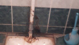 Održavanje Senćanskog groblja (staze, toalet)