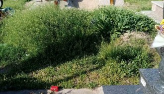 Zapušteno Pravoslavno groblje u Dudovoj šumi