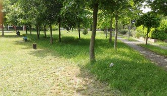 Održavanje parka Trg Paje Jovanovića