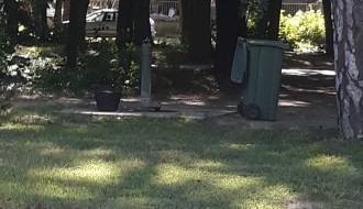 Zloupotreba javne česme u Zelengorskoj ulici na Paliću