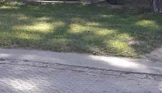 Zloupotreba javne česme u Zelengorskoj ulici na Paliću