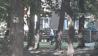 Zloupotreba javne česme u Zelengorskoj ulici na Paliću