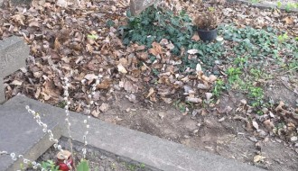 Neodržavanje groblja u Aleksadrovu