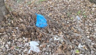 Neodržavanje groblja u Aleksadrovu