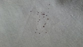 Crni opljci u vodi za piće