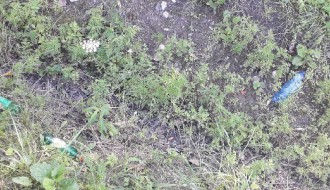 Smeće u kanalima, smrad se širi, nepodnošljivo je... (Srpski šor)