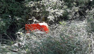 Smeće u kanalima, smrad se širi, nepodnošljivo je... (Srpski šor)