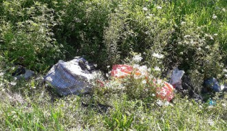 Smeće u kanalima, smrad se širi, nepodnošljivo je... (Srpski šor)