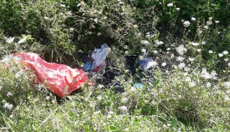 Smeće u kanalima, smrad se širi, nepodnošljivo je... (Srpski šor)