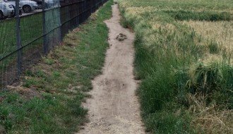 Predlog za novu biciklističku stazu ispred "Flendera"