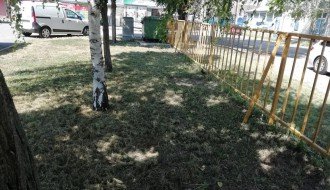 Na Kvantaškoj pijaci smeće i nepokošena trava