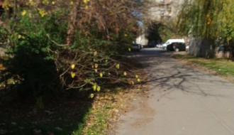 Zapušten i neuređen deo Radijalca