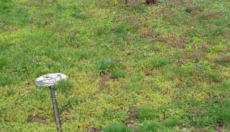 Eksponat ispred Dispanzera u lošem stanju