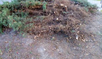 Ruski rulet kod "Džumandžija"