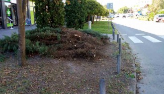 Ruski rulet kod "Džumandžija"