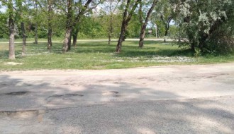 Lutalice u Vikend naselju na Paliću