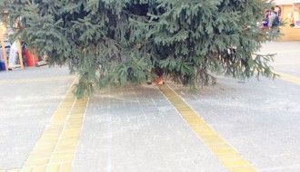 Novogodišnja jelka u centru