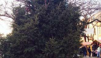 Novogodišnja jelka u centru