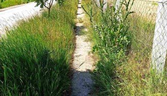 Nepokošena površina oko pešačke staze u Zorkinoj ulici