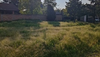 Zarasla trava i korov na placu u Kireškoj ulici