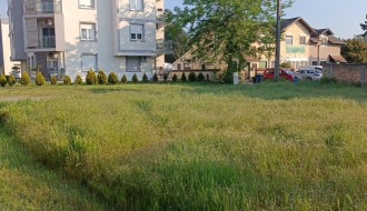 Zarasla trava i korov na placu u Kireškoj ulici