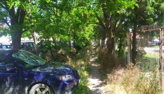 Nepokošena trava na Sivačkom putu