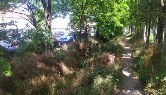 Nepokošena trava na Sivačkom putu