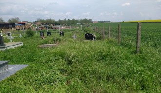 Trava guta groblje u Mišićevu