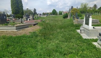 Trava guta groblje u Mišićevu