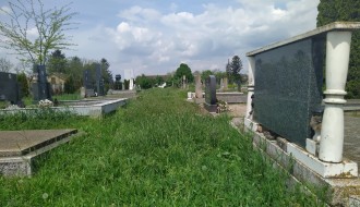 Trava guta groblje u Mišićevu