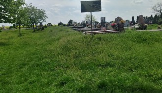 Trava guta groblje u Mišićevu