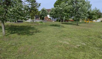 Trava guta groblje u Mišićevu